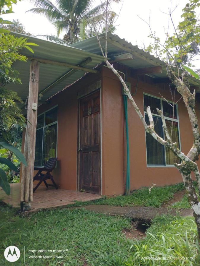 Hotel Mirador Osa Mogos Екстер'єр фото
