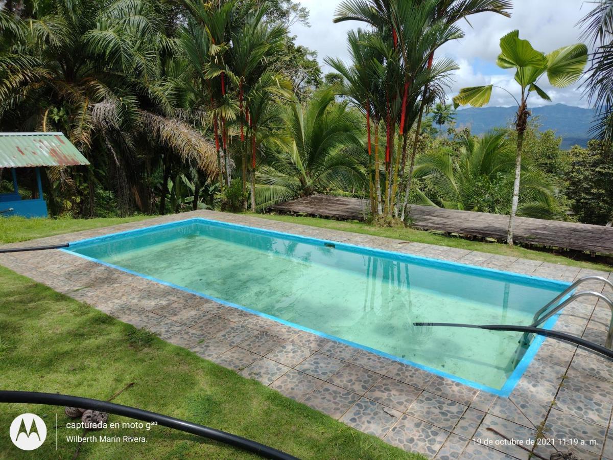 Hotel Mirador Osa Mogos Екстер'єр фото